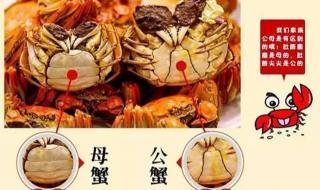 螃蟹怎么杀 螃蟹怎么杀